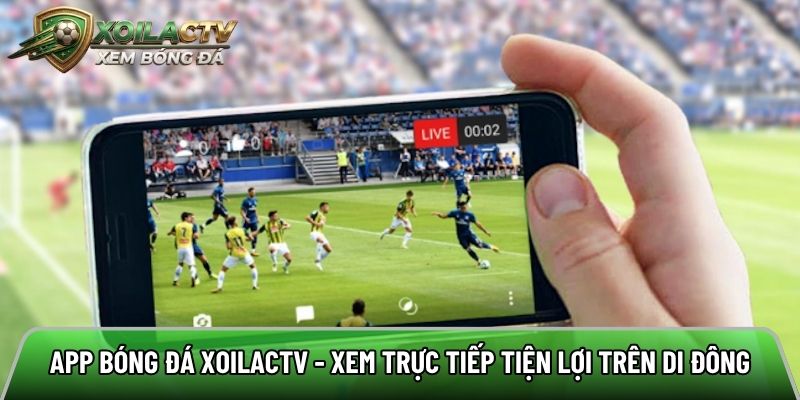 App bóng đá Xoilac Link Lytuong - Xem trực tiếp tiện lợi trên di đông