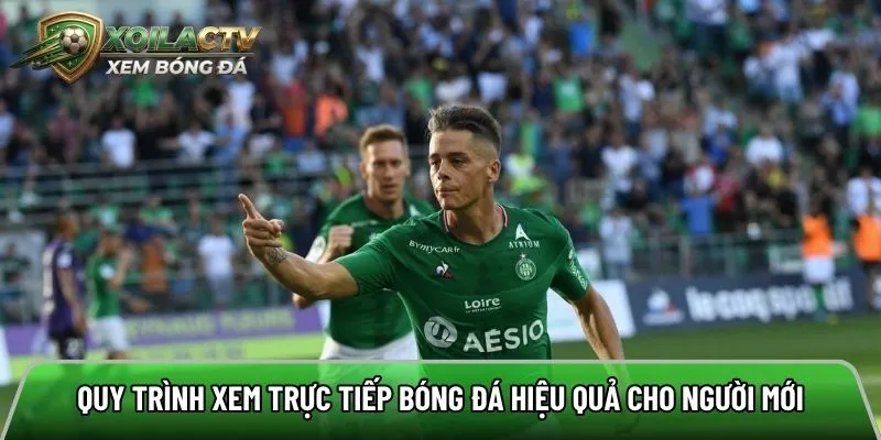 Quy trình xem trực tiếp bóng đá hiệu quả cho người mới